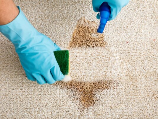 close shot of hands wearing blue gloves removing pet urine stain from carpet.